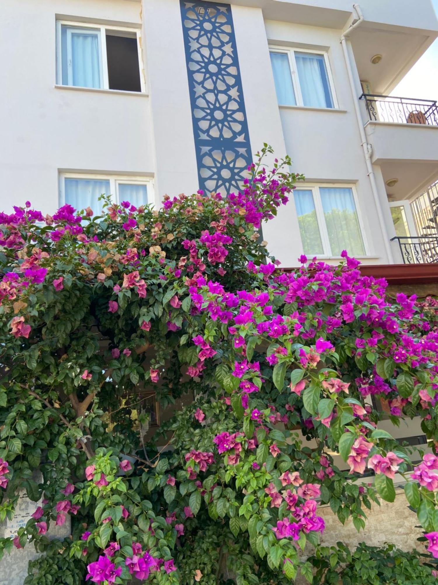 Serenity Suites Hotel Antalya Exteriör bild
